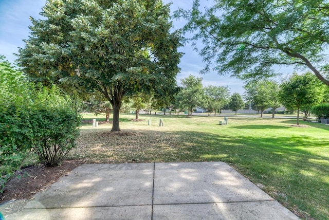 24341 Leski Ln, Plainfield, IL 60585 - view of property's community with a lawn and a patio area