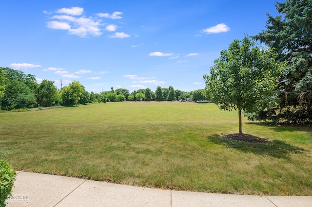 2326 Woodhill Ct, Plainfield, IL 60586 - view of green lawn
