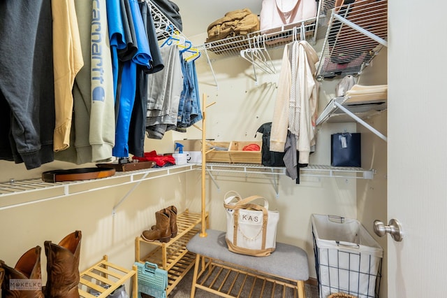 2326 Woodhill Ct, Plainfield, IL 60586 - view of walk in closet