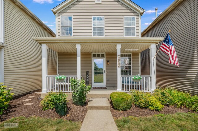 2326 Woodhill Ct, Plainfield, IL 60586 - view of front facade with covered porch