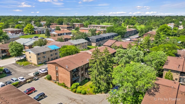 61 W Pier Dr Unit 201, Westmont, IL 60559 - aerial view
