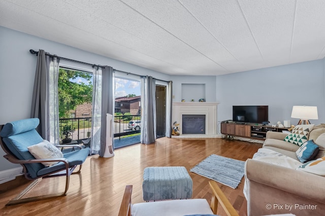 61 W Pier Dr Unit 201, Westmont, IL 60559 - living room featuring a glass covered fireplace and wood finished floors