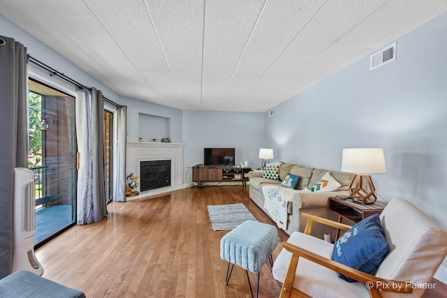 61 W Pier Dr Unit 201, Westmont, IL 60559 - living area featuring wood-type flooring, a glass covered fireplace, and a textured ceiling