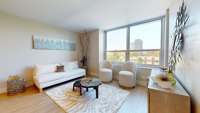 720 W Gordon Ter Unit 6J, Chicago, IL 60613 - living area with light wood-style floors and baseboards