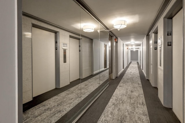 720 W Gordon Ter Unit 6J, Chicago, IL 60613 - corridor with elevator and dark carpet