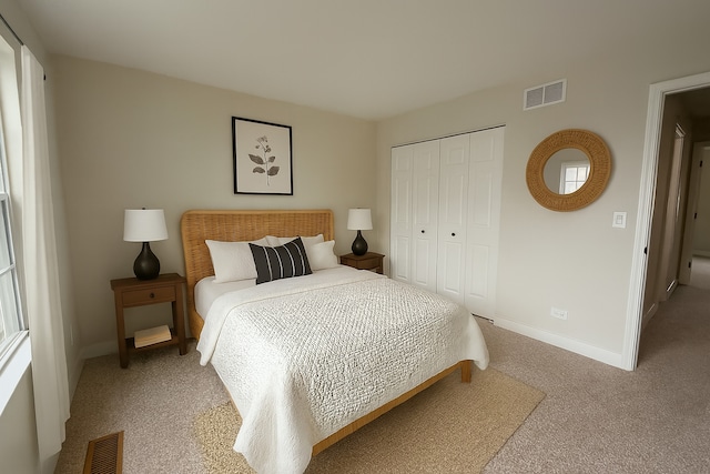 339 Terra Springs Cir Unit 339, Volo, IL 60020 - bedroom featuring light carpet and a closet