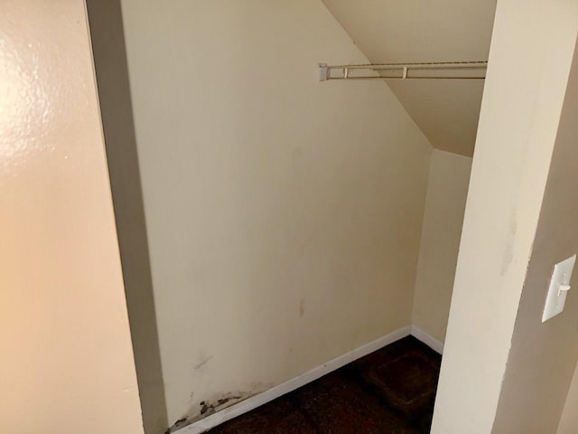 663 W 117th Pl, Chicago, IL 60628 - spacious closet featuring vaulted ceiling
