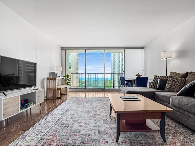 3150 N Sheridan Rd Unit 10C, Chicago, IL 60657 - living room with floor to ceiling windows, wood finished floors, and radiator heating unit