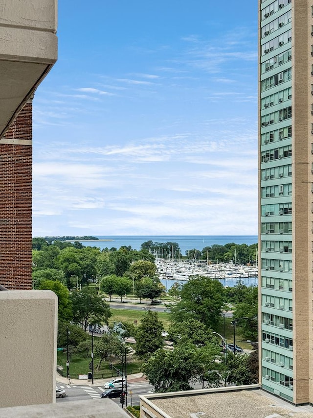 3150 N Sheridan Rd Unit 10C, Chicago, IL 60657 - water view