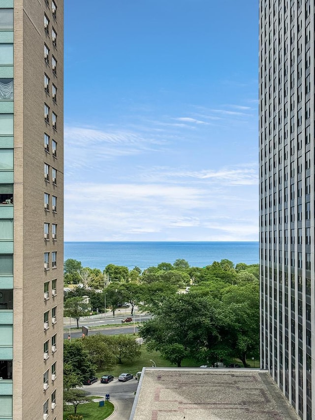 3150 N Sheridan Rd Unit 10C, Chicago, IL 60657 - water view