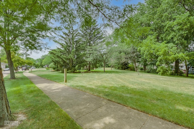 2430 Lakeside Dr, Aurora, IL 60504 - view of home's community with a yard