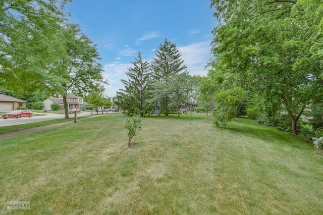 2430 Lakeside Dr, Aurora, IL 60504 - view of grassy yard