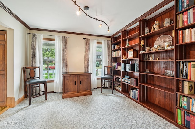 2430 Lakeside Dr, Aurora, IL 60504 - living area featuring carpet, crown molding, and rail lighting