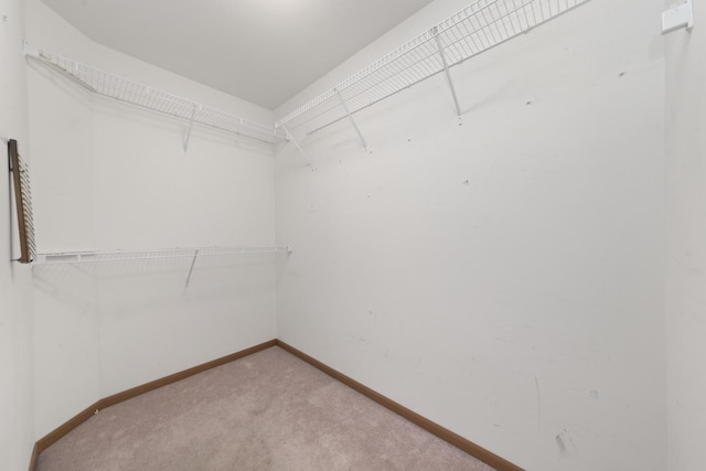 914 Garden Ln Unit 914, Homewood, IL 60430 - walk in closet with carpet flooring