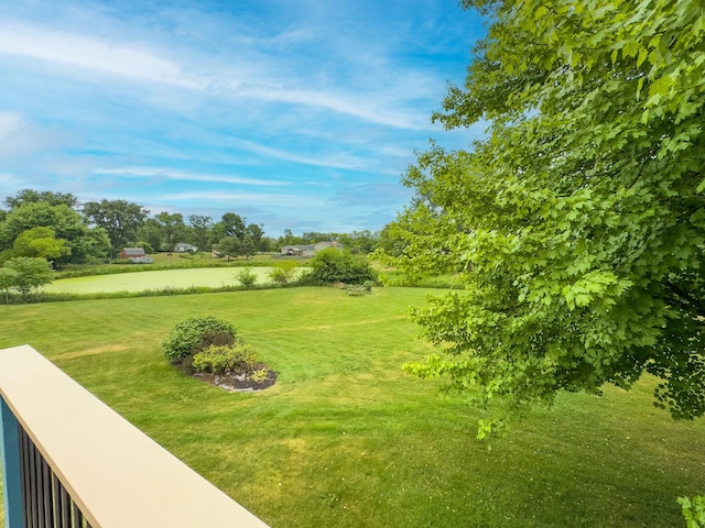 14N551 Bonnie Ln, Elgin, IL 60124 - photo 23