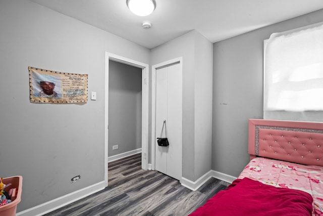 19 Apple Ln, Park Forest, IL 60466 - bedroom featuring wood finished floors and a closet