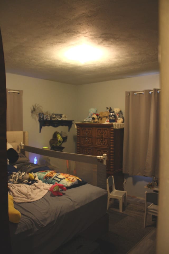 1 Elm Dr, Bethany, IL 61914 - view of bedroom