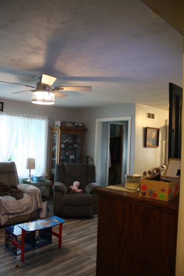 1 Elm Dr, Bethany, IL 61914 - living area featuring a ceiling fan and wood finished floors
