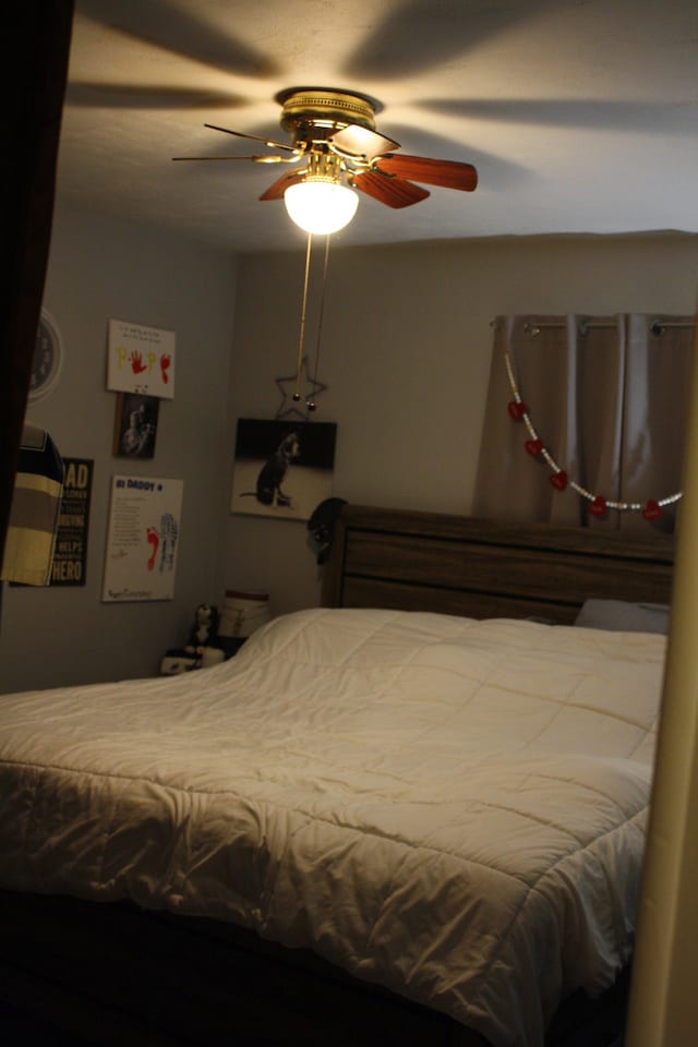 1 Elm Dr, Bethany, IL 61914 - bedroom featuring ceiling fan