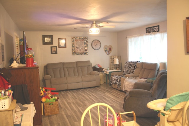 1 Elm Dr, Bethany, IL 61914 - living room with ceiling fan and wood finished floors