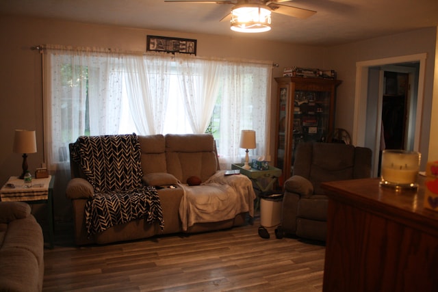 1 Elm Dr, Bethany, IL 61914 - living room featuring ceiling fan, plenty of natural light, and wood finished floors
