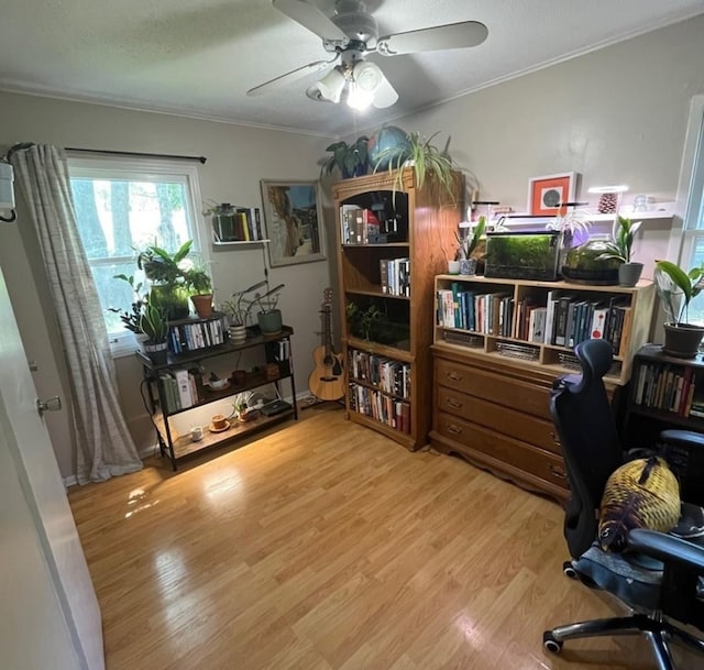 1302 Briarcliff Dr, Urbana, IL 61801 - office featuring wood finished floors, crown molding, and a ceiling fan