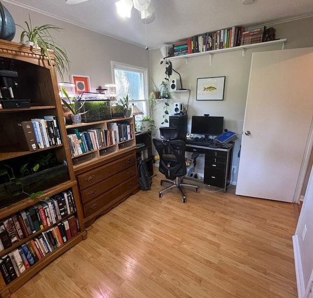 1302 Briarcliff Dr, Urbana, IL 61801 - office with ceiling fan and wood finished floors