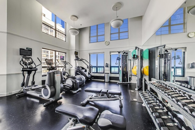 401 E Ontario St Unit 3008, Chicago, IL 60611 - exercise room with a towering ceiling