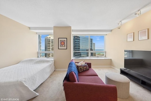 512 N Mcclurg Ct Unit 3502, Chicago, IL 60611 - photo 4