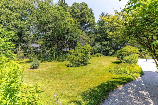 16 Yorkshire Dr, Lincolnshire, IL 60069 - view of green lawn