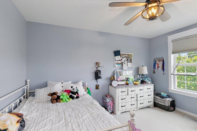 3512 Chancery Ln, Carpentersville, IL 60110 - photo 24