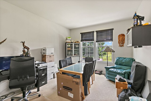 3512 Chancery Ln, Carpentersville, IL 60110 - photo 7