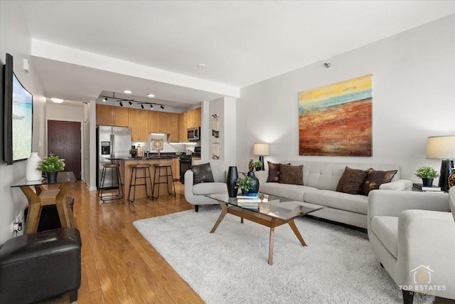 1250 S Michigan Ave Unit 1007, Chicago, IL 60605 - living area with light wood finished floors