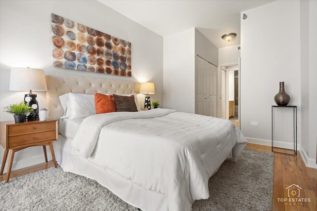 1250 S Michigan Ave Unit 1007, Chicago, IL 60605 - bedroom featuring wood finished floors and a closet