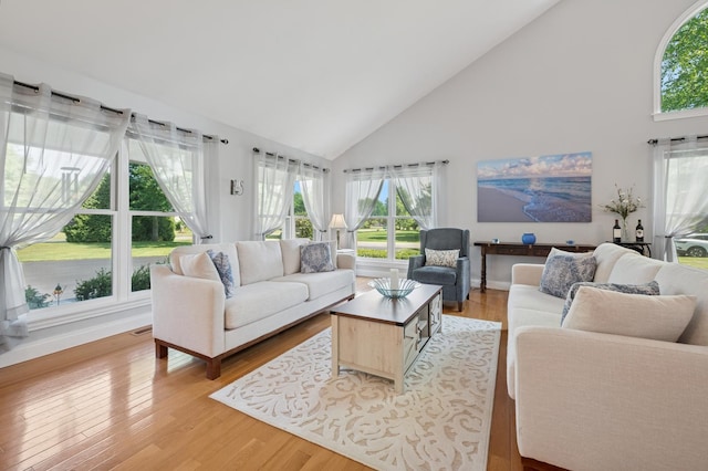19466 W Aspen Dr, Mundelein, IL 60060 - living area with high vaulted ceiling, healthy amount of natural light, and light wood finished floors