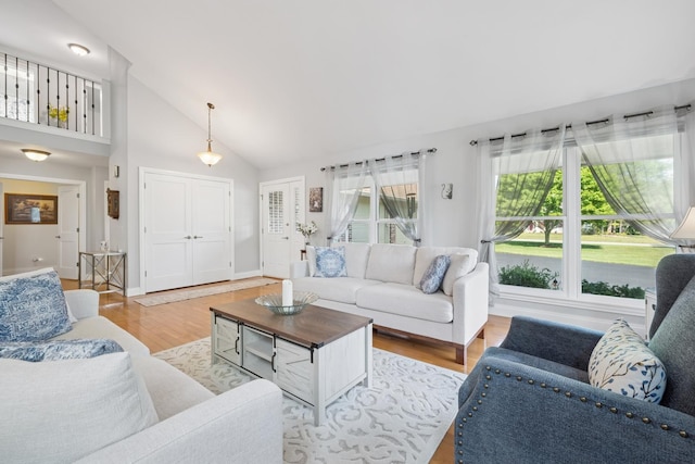 19466 W Aspen Dr, Mundelein, IL 60060 - living room featuring light wood-style flooring and high vaulted ceiling