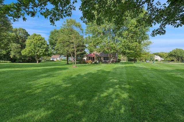 19466 W Aspen Dr, Mundelein, IL 60060 - view of green lawn
