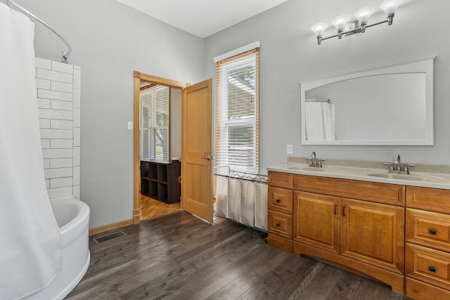 206 W N St, Leroy, IL 61752 - bathroom featuring wood finished floors and double vanity