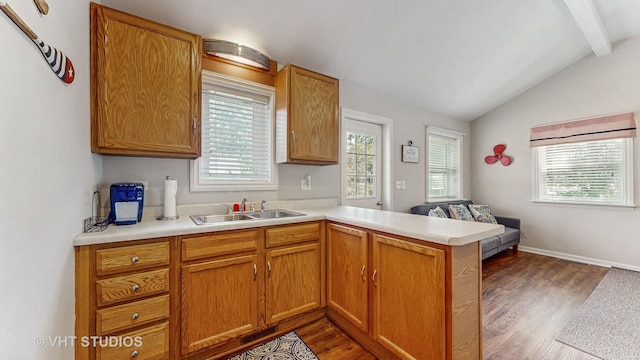 25333 W Richmond Ave, Antioch, IL 60002 - kitchen featuring a peninsula, dark wood-style flooring, light countertops, and brown cabinets