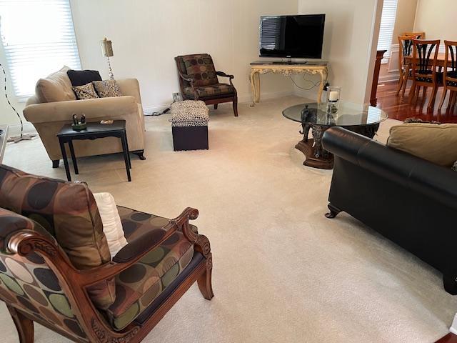 1312 Frederick Ln, Naperville, IL 60565 - living area featuring carpet flooring