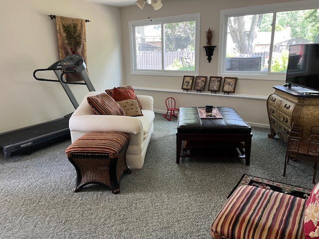 1312 Frederick Ln, Naperville, IL 60565 - living area featuring carpet