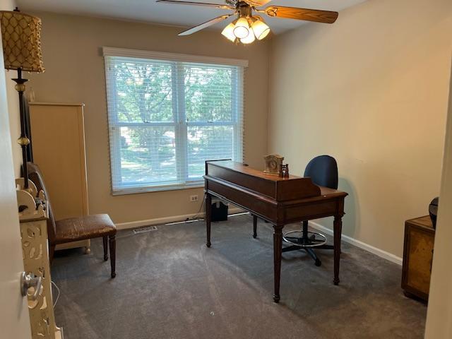 1312 Frederick Ln, Naperville, IL 60565 - office featuring plenty of natural light, carpet floors, and ceiling fan