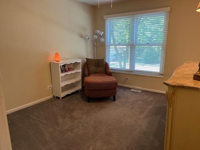 1312 Frederick Ln, Naperville, IL 60565 - sitting room featuring dark colored carpet and baseboards