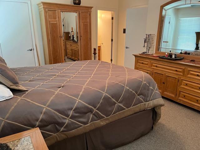 1312 Frederick Ln, Naperville, IL 60565 - view of carpeted bedroom