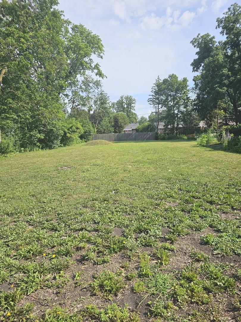 1738 Whitcomb Ave, Des Plaines, IL 60018 - photo 1