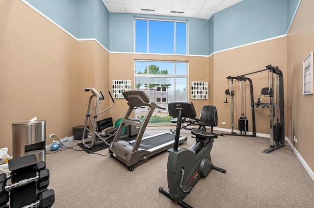 300 Village Cir Unit 505, Willow Springs, IL 60480 - photo 44
