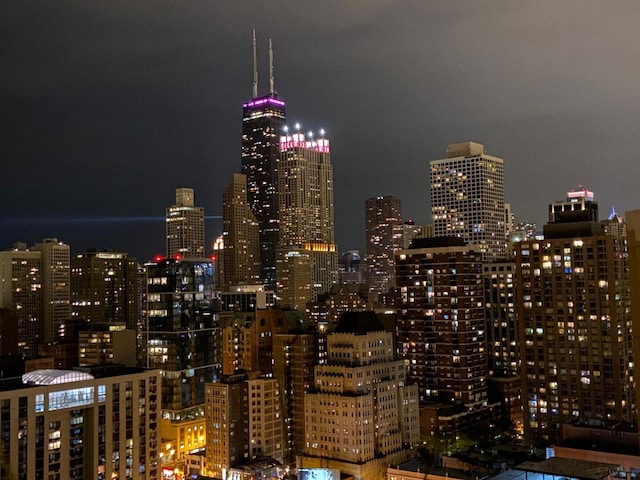 1255 N Sandburg Ter Unit 2912, Chicago, IL 60610 - photo 68