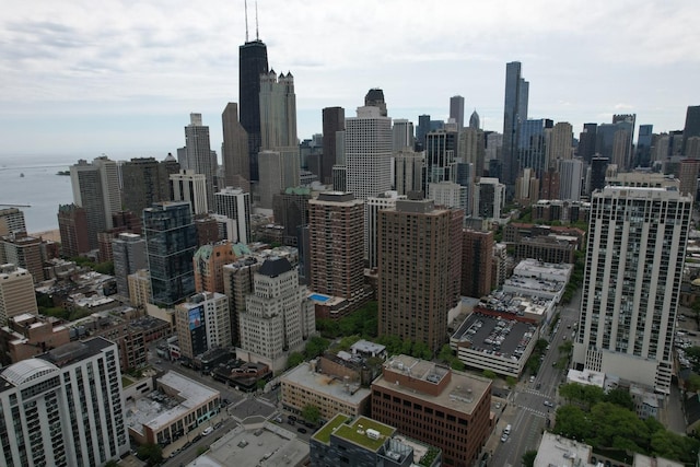 1255 N Sandburg Ter Unit 2912, Chicago, IL 60610 - photo 69