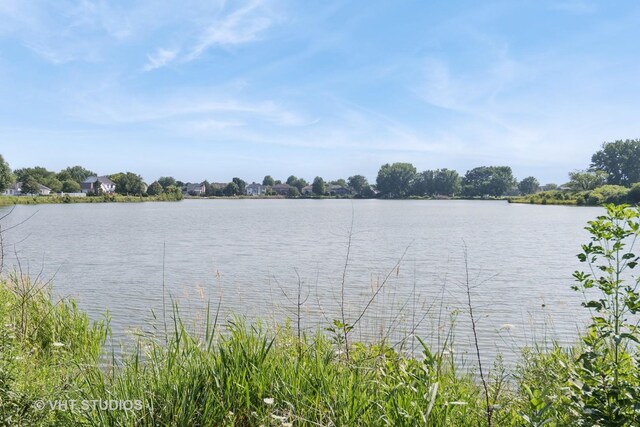 1062 Ridgefield Cir, Carol Stream, IL 60188 - photo 21