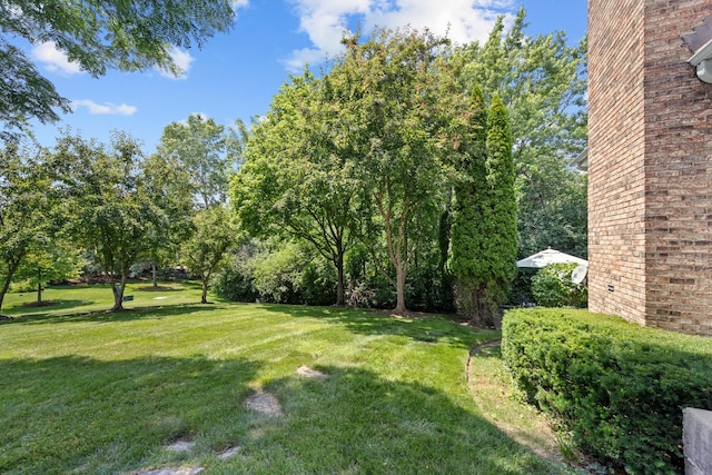 572 Stockbridge Ct, Lake Forest, IL 60045 - view of green lawn
